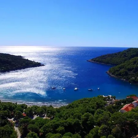 Apartamento Matu Ko Mljet - One Bedroom With Balcony And Sea View