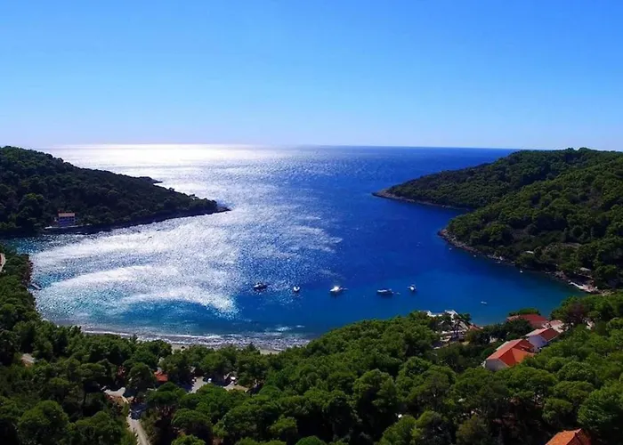 아파트 Matu Ko Mljet - One Bedroom With Balcony And Sea View